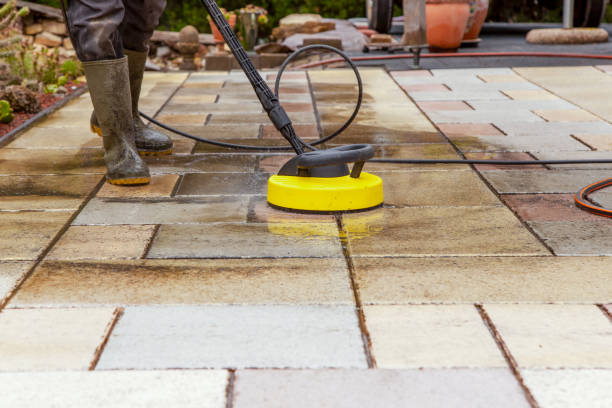 Animal Enclosure Cleaning in Portland, TX